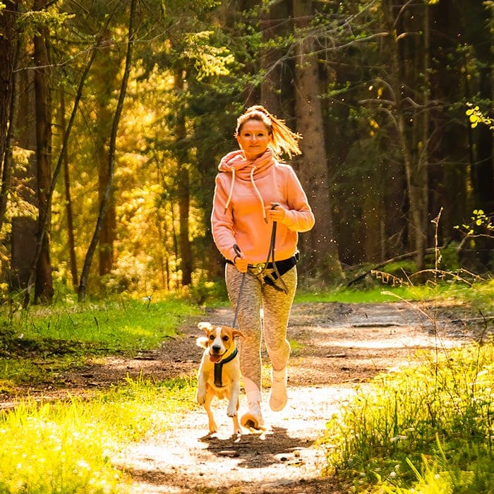 Play, fun and long walks