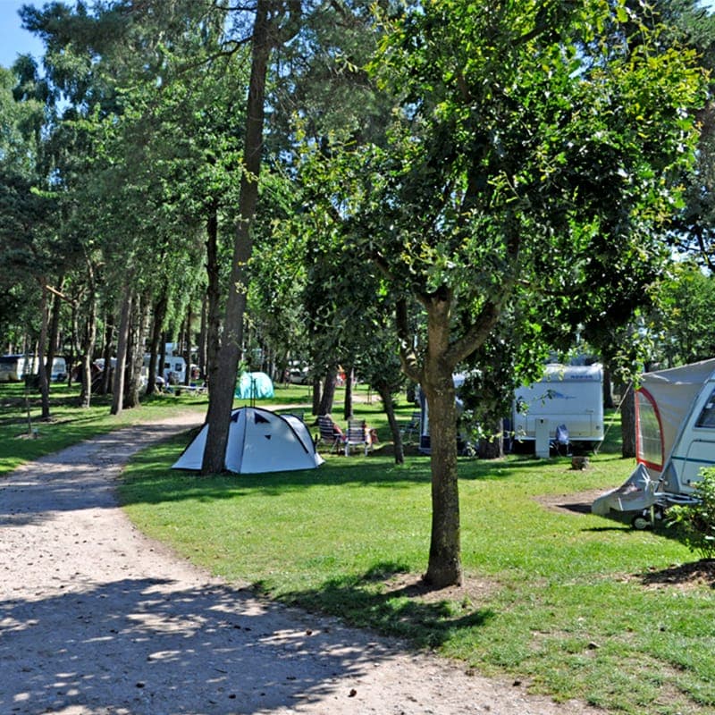 Pitches in the middle of nature
