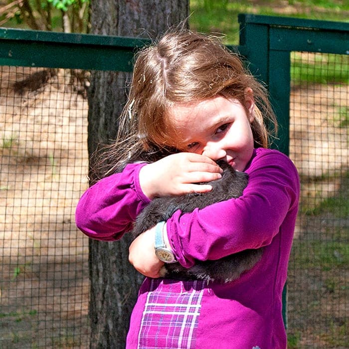 Onze kinderboerderij voor dierenvrienden
