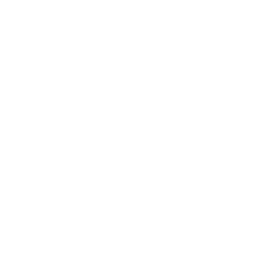 raindrops